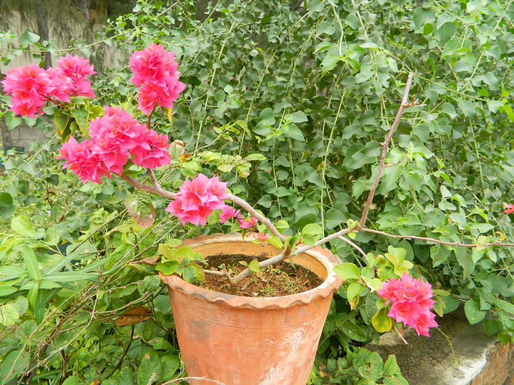 Stella Maris B&B Kanyakumari Εξωτερικό φωτογραφία