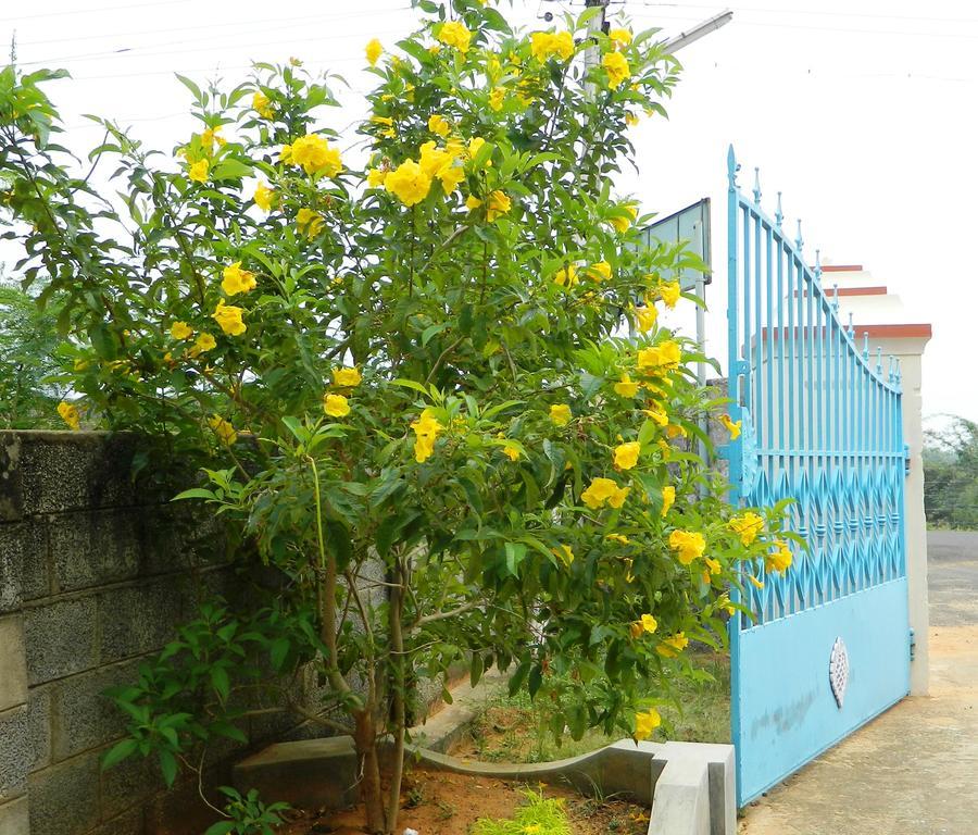 Stella Maris B&B Kanyakumari Εξωτερικό φωτογραφία